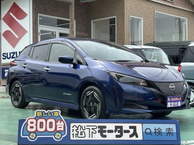 リーフ(ニッサン)レンタＵＰ 全体