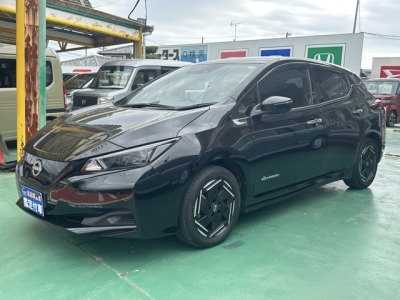 リーフ(ニッサン)レンタＵＰ 前方