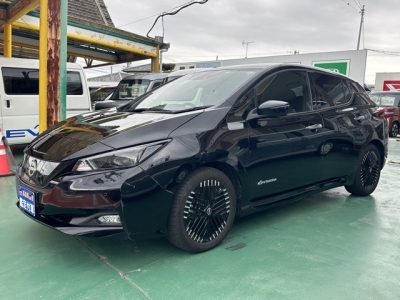 リーフ(ニッサン)中古車 前方