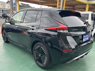 リーフ(ニッサン)中古車 後方