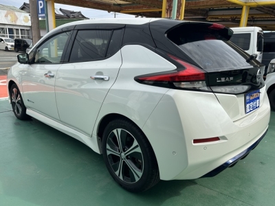 リーフ(ニッサン)中古車 後方