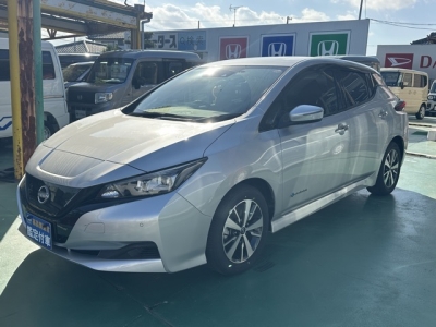 リーフ(ニッサン)中古車 前方