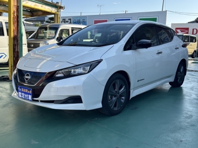 リーフ(ニッサン)中古車 前方