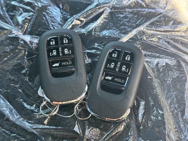 ステップワゴン(ホンダ)登録済未使用車 19