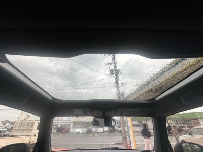 タフト(ダイハツ)届出済未使用車 内外装写真他