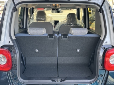 ムーヴキャンバス(ダイハツ)届出済未使用車 内外装写真他２