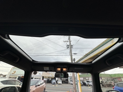 タフト(ダイハツ)届出済未使用車 内外装写真他