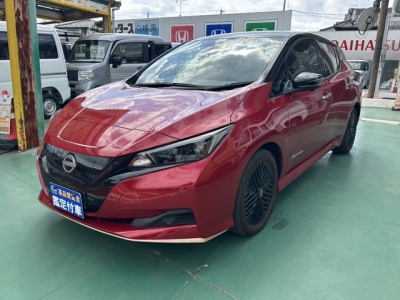 リーフ(ニッサン)中古車 前方