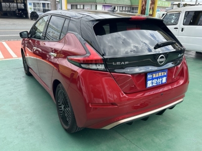 リーフ(ニッサン)中古車 後方