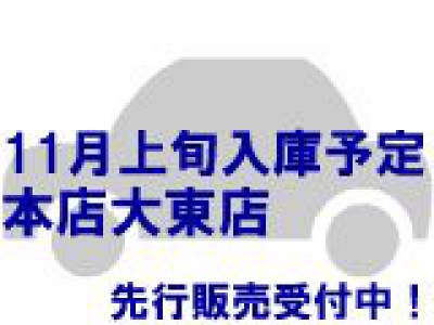N-WGN(ホンダ)登録済未使用車 前方