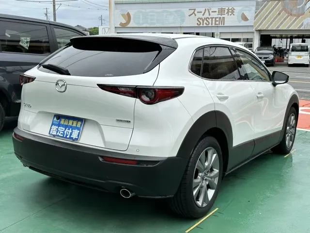 CX-30(マツダ)XD プロアクティブ ツーリングセレクション中古車 3