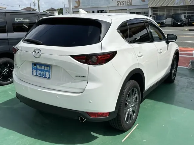 CX-5(マツダ)20T エクスクルーシブモード 4WDディーラ-試乗車 10