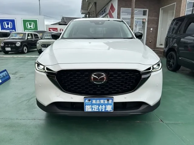 CX-5(マツダ)XD　ブラックトーンエディション中古車 29