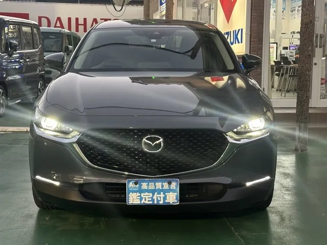 CX-30(マツダ)XD プロアクティブ ツーリングセレクション中古車 29